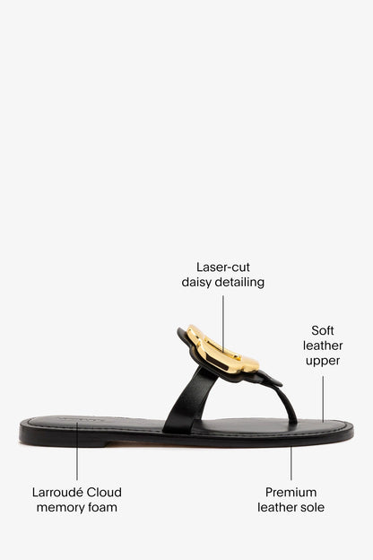 Margherita Thong Sandal in Black Leather and Gold Hardware - Larroude